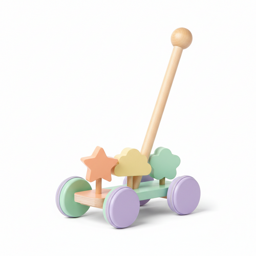 Push Pull Toys