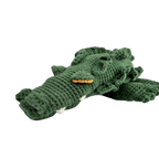 Marvin the Crocodile