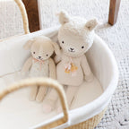 Vegan Handle No Hood Moses Basket