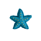 Starfish-lagoon blue